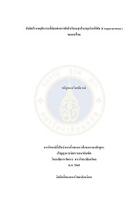 ปัจจัยด้านพฤติกรรมที่มีผลต่อการตัดสินใจลงทุนในสกุลเงินดิจิทัล (Cryptocurrency) ของคนไทย